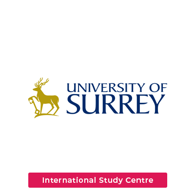 UNIVERSITY OF SURREY